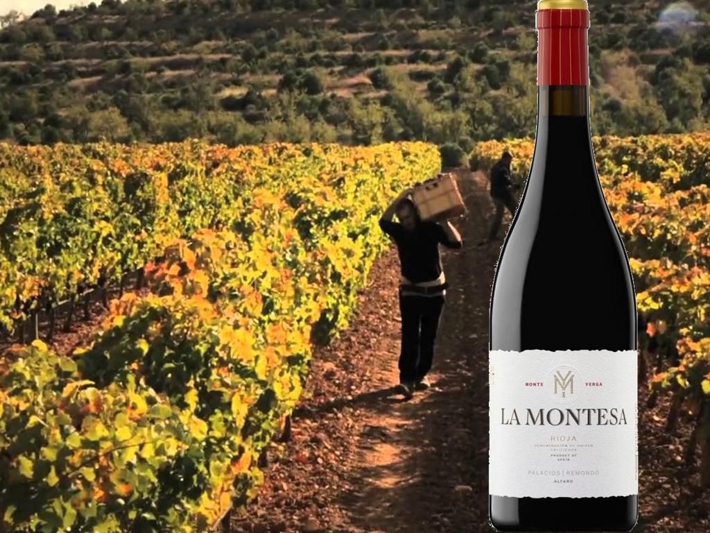 LA MONTESA 2017